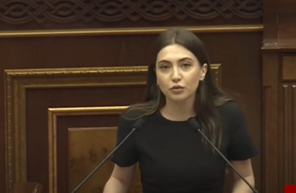 В один день может выясниться, что враг должен дать разрешение также на строительство нашего дома – Анна Мкртчян (видео)